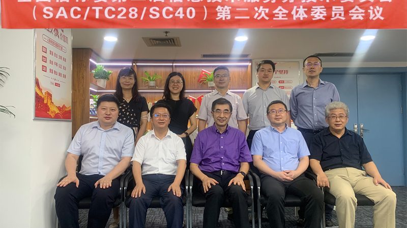 成都系统集成厂家报价：揭秘系统集成服务的价值与考量