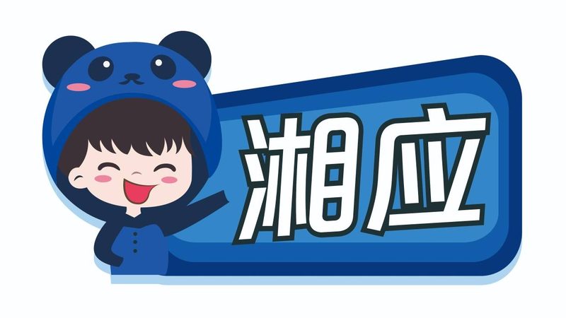 IT咨询方案案例：揭秘企业数字化转型背后的逻辑
